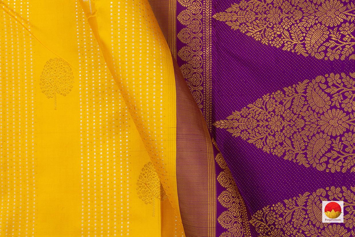 Kanchipuram Silk Saree - Handwoven Pure Silk - Pure Zari - Borderless - PV NYC 666 - Silk Sari - Panjavarnam