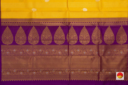 Kanchipuram Silk Saree - Handwoven Pure Silk - Pure Zari - Borderless - PV NYC 666 - Silk Sari - Panjavarnam