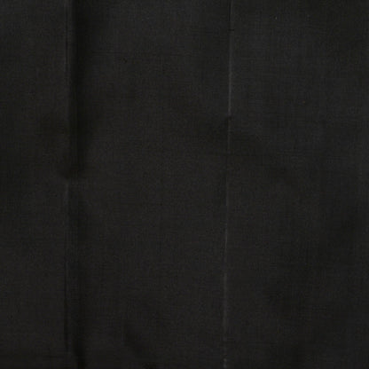 Off White And Black Kanchipuram Silk Saree Borderless Handwoven Pure Silk For Festive Wear PV NYC 1277 - Silk Sari - Panjavarnam PV NYC 1277