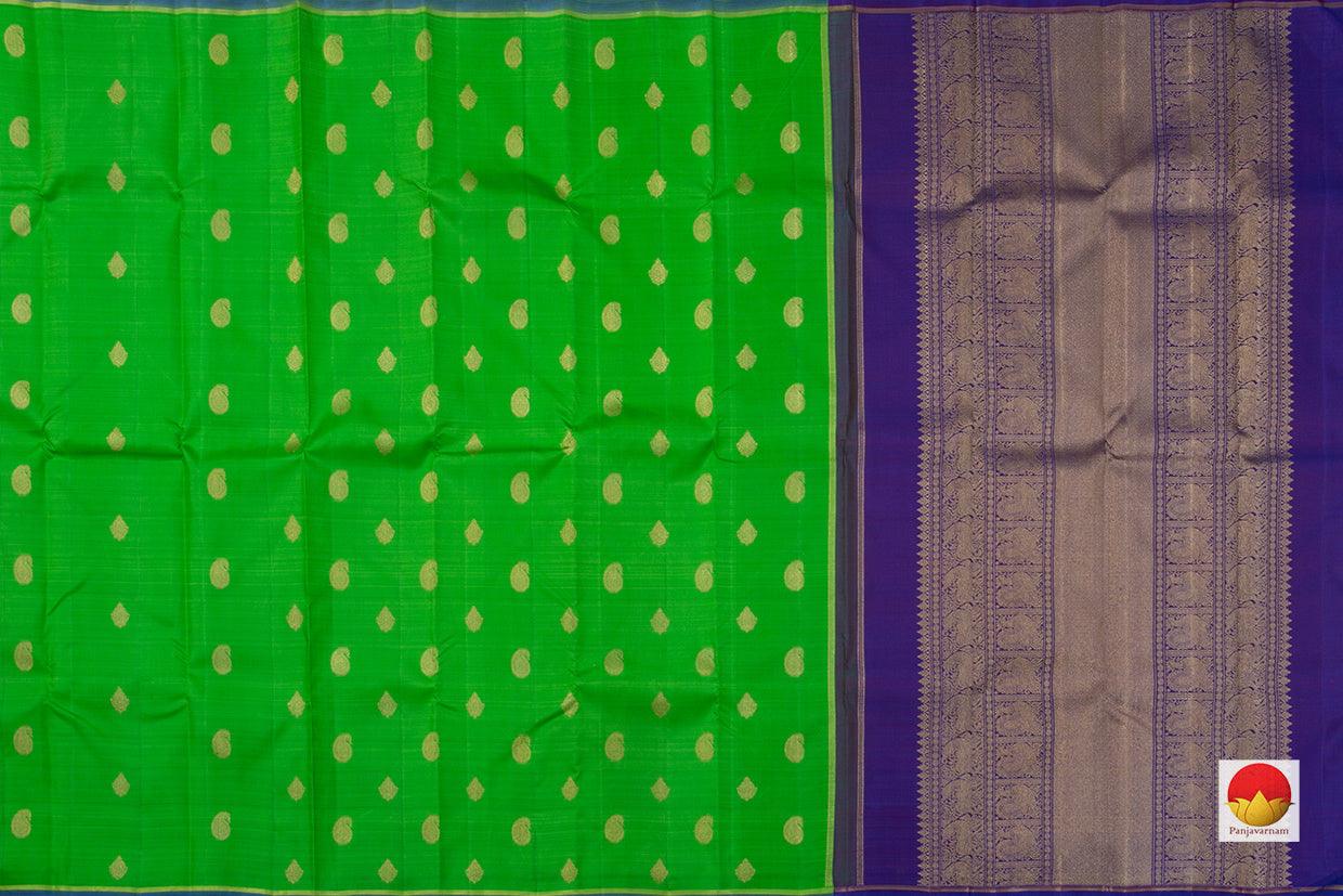 Parrot Green And Blue Borderless Original Kanchipuram Silk Saree Handwoven Pure Silk Pure Zari For Festive Wear PV GTA 38 - Silk Sari - Panjavarnam