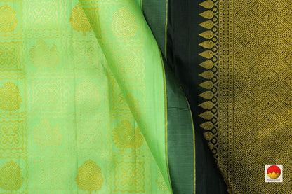 Pista Green And Black Borderless Kanchipuram Silk Saree With Floral Silk Thread Work Handwoven Pure Silk Pure Zari For Festive Wear PV NYC 1050 - Silk Sari - Panjavarnam PV NYC 1050