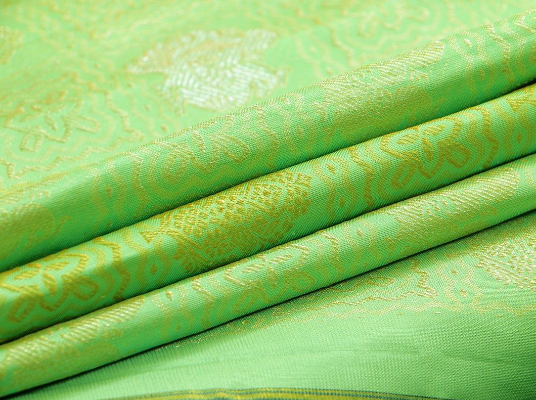 Pista Green And Black Borderless Kanchipuram Silk Saree With Floral Silk Thread Work Handwoven Pure Silk Pure Zari For Festive Wear PV NYC 1050 - Silk Sari - Panjavarnam PV NYC 1050