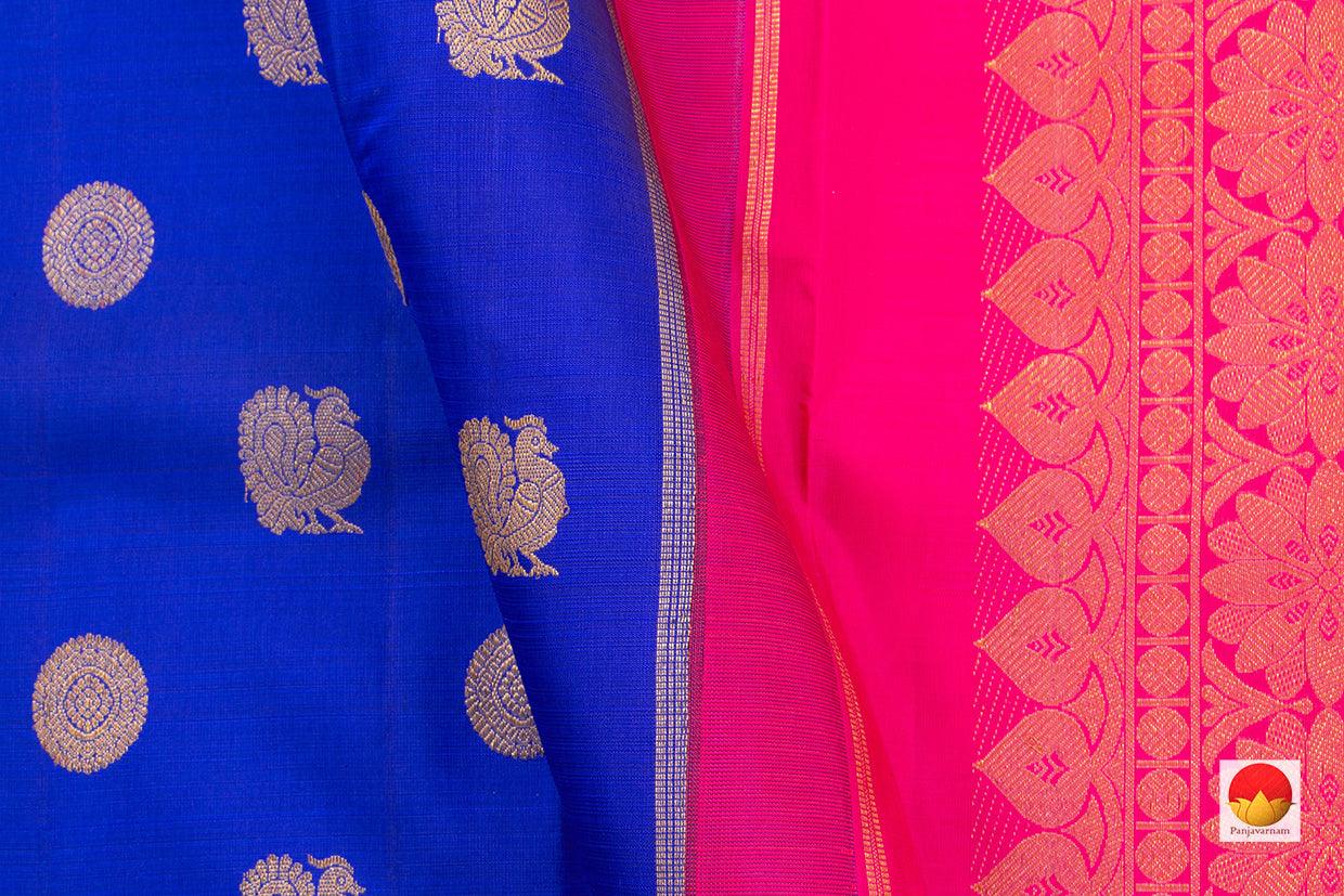 Blue Borderless Kanchipuram Silk Saree Handwoven Pure Silk Pure Zari For Festive Wear PV NYC 356 - Silk Sari - Panjavarnam
