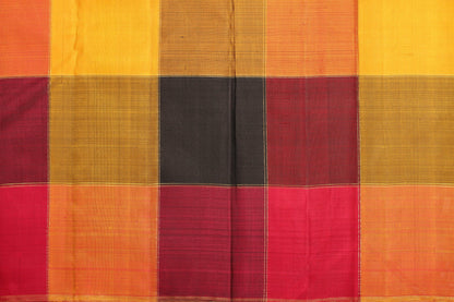 Borderless Handwoven Pure Silk Kanjivaram Saree - Multicolour Checks - PA 183 Archives - Silk Sari - Panjavarnam