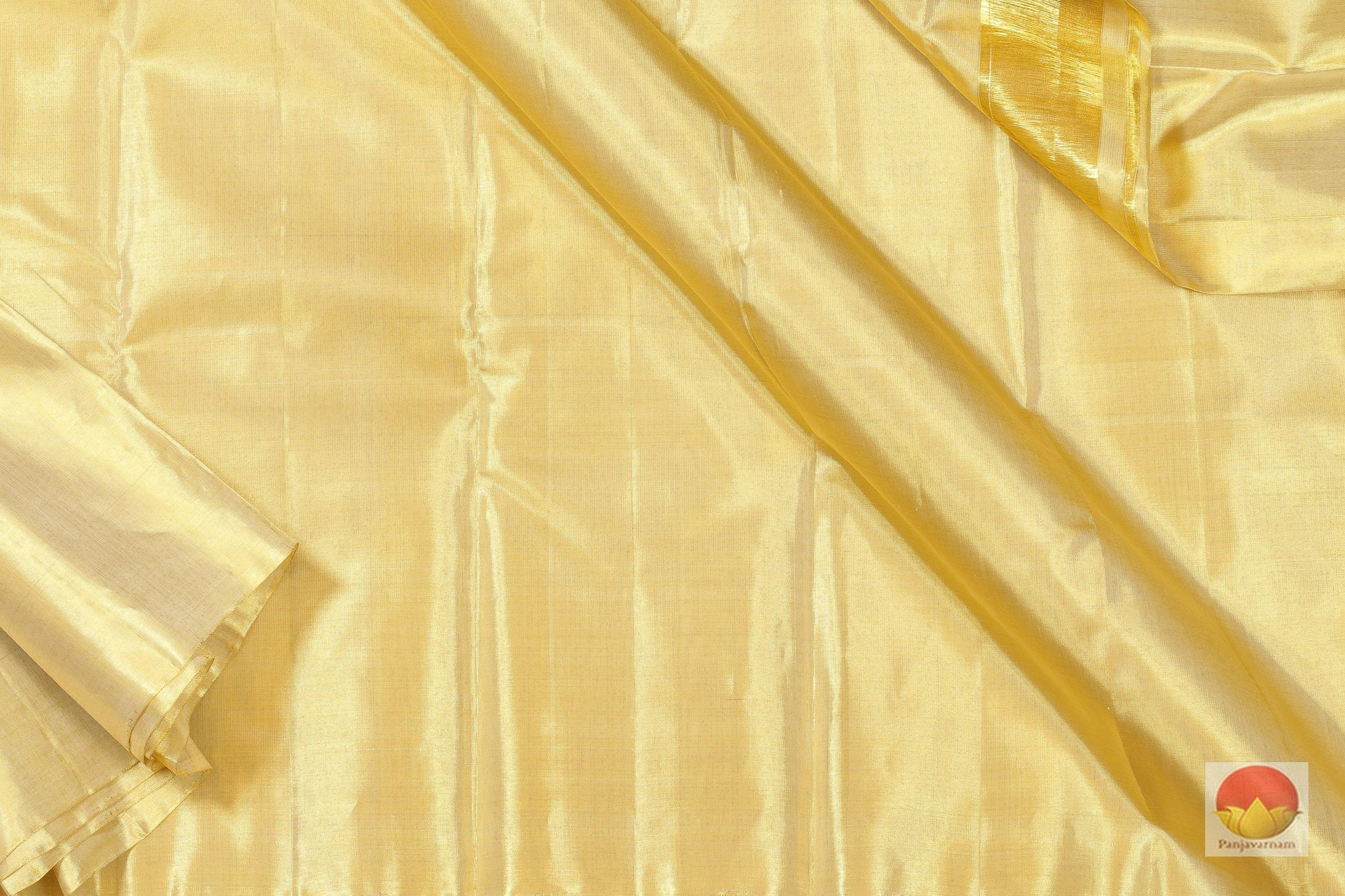 Borderless - Handwoven Pure Tissue Kanjivaram Saree - PV G 1834 Archives - Silk Sari - Panjavarnam