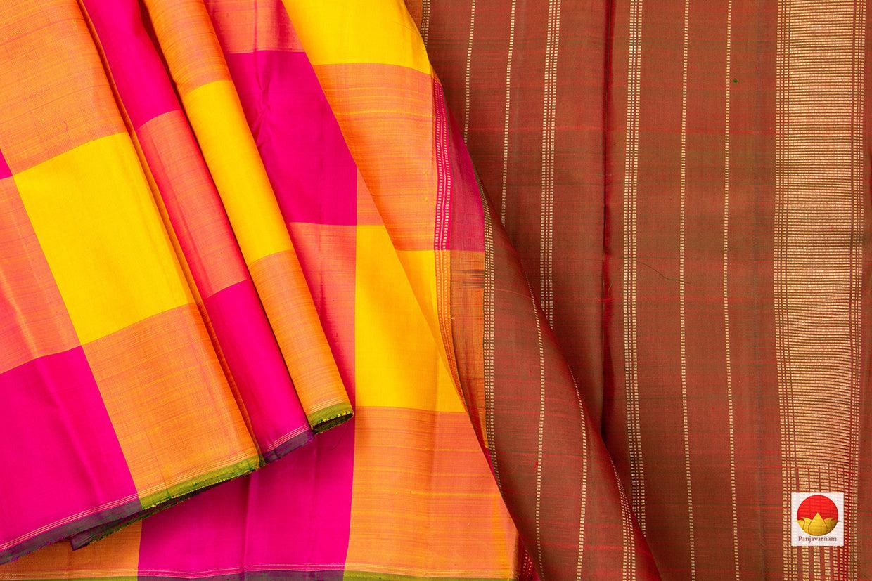 Borderless Multi Coloured Checks Kanchipuram Silk Saree Handwoven Pure Silk Pure Zari For Party Wear PV NYC 494 - Silk Sari - Panjavarnam PV NYC 494