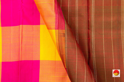 Borderless Multi Coloured Checks Kanchipuram Silk Saree Handwoven Pure Silk Pure Zari For Party Wear PV NYC 494 - Silk Sari - Panjavarnam PV NYC 494