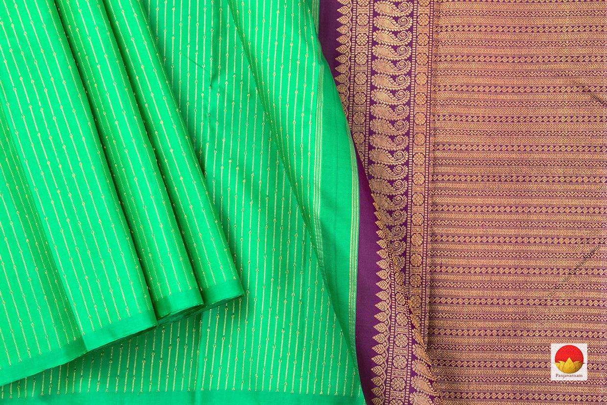Green Kanchipuram Silk Saree Borderless Handwoven Pure Silk Pure Zari For Festive Wear PV NYC 449 - Silk Sari - Panjavarnam