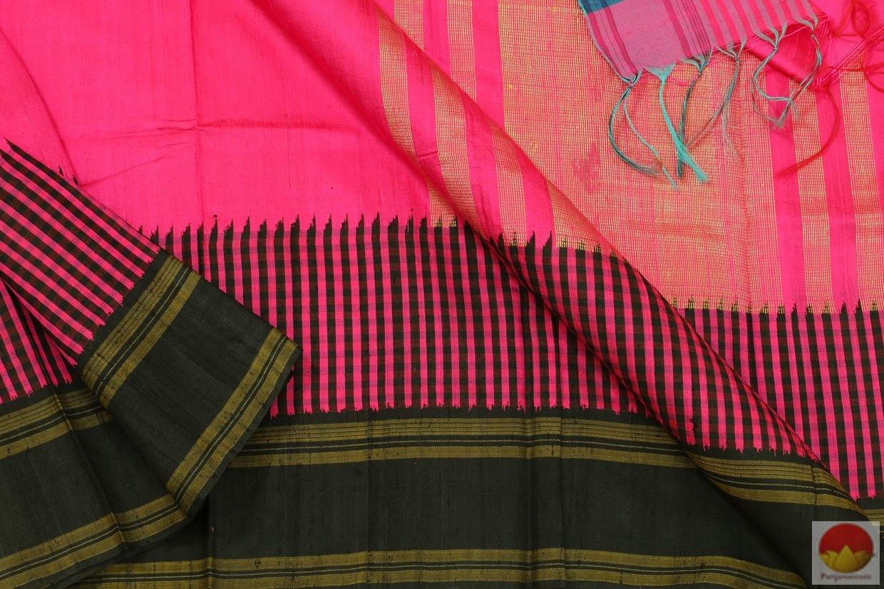 Handwoven Kanjivaram - Jute Silk Saree - PV ASB 162 - Archives - Silk Sari - Panjavarnam