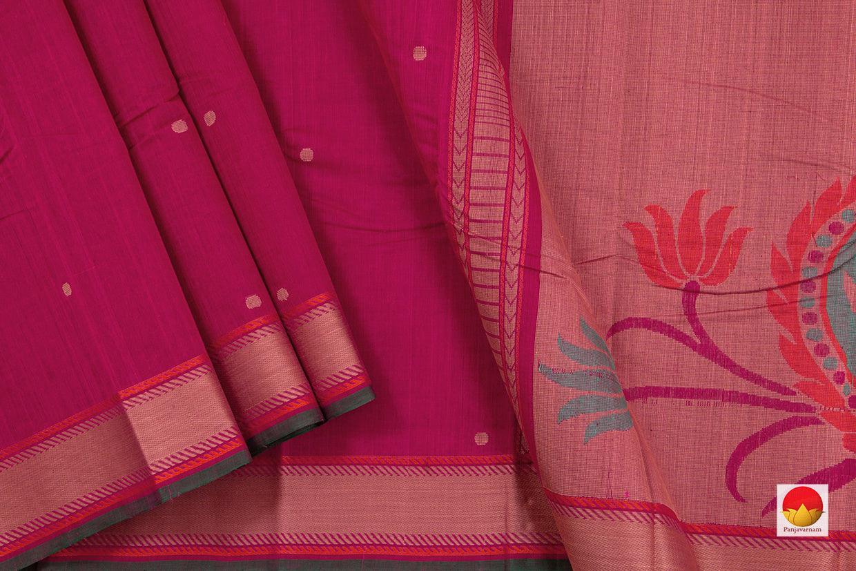 Kanchi Cotton Saree - Handwoven - Silk Thread Work - KC 355 - Cotton Saree - Panjavarnam