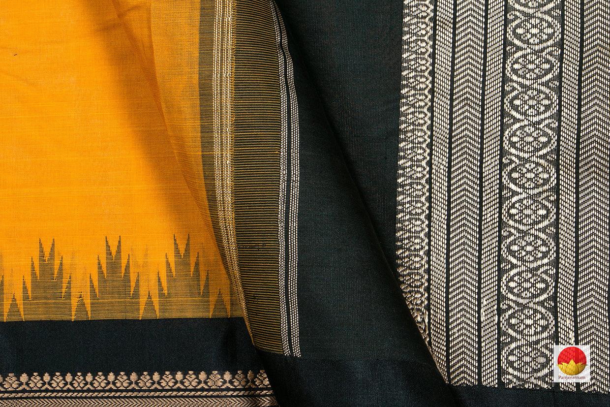 Kanchi Silk Cotton Saree - Handwoven - Korvai Border - KSC 1080 - Silk Cotton - Panjavarnam