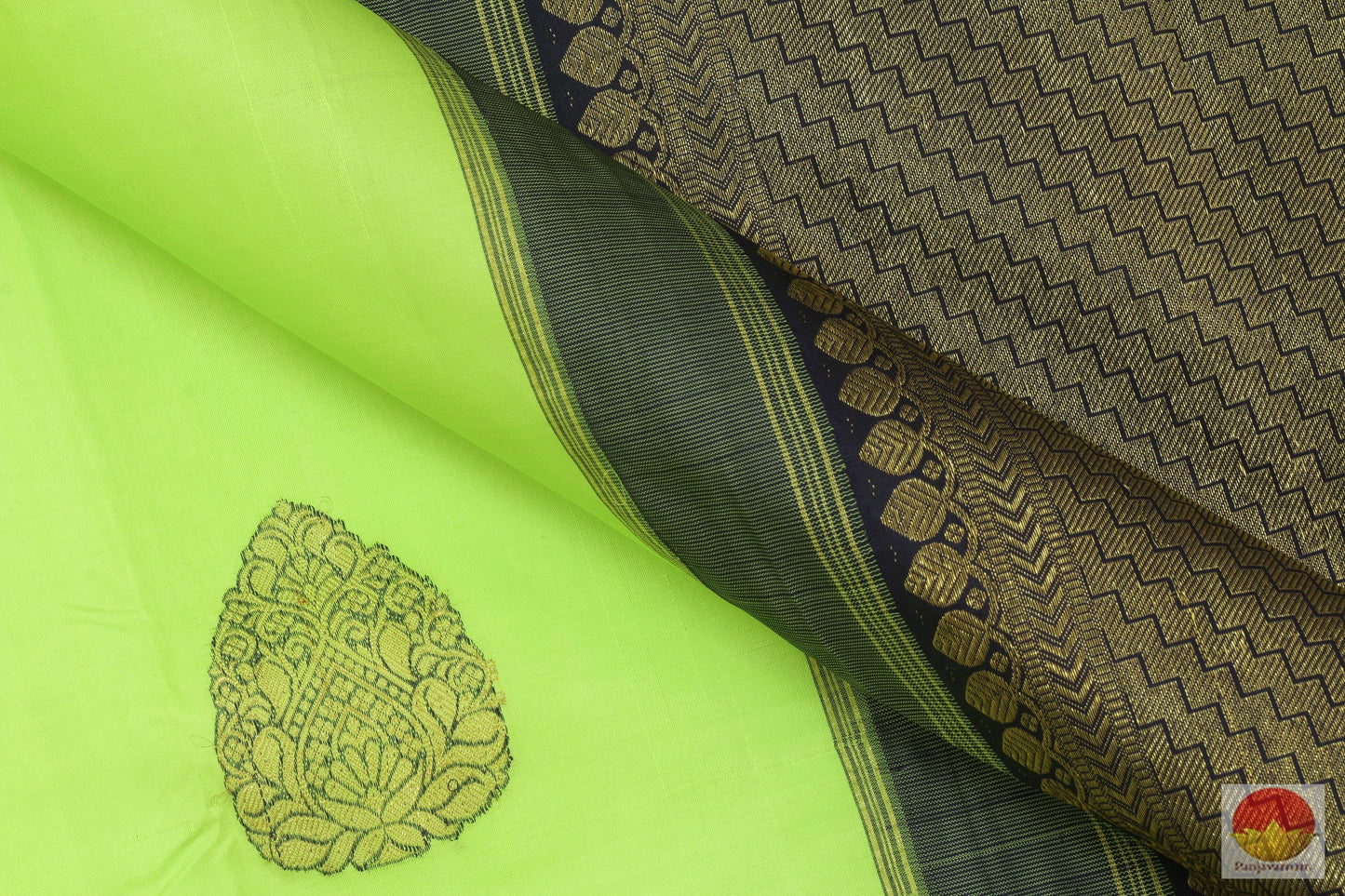 Kanchipuram Silk Saree - Borderless Handwoven Pure Silk - Meenakari - Pure Zari - PV RA 7 - Archives - Silk Sari - Panjavarnam