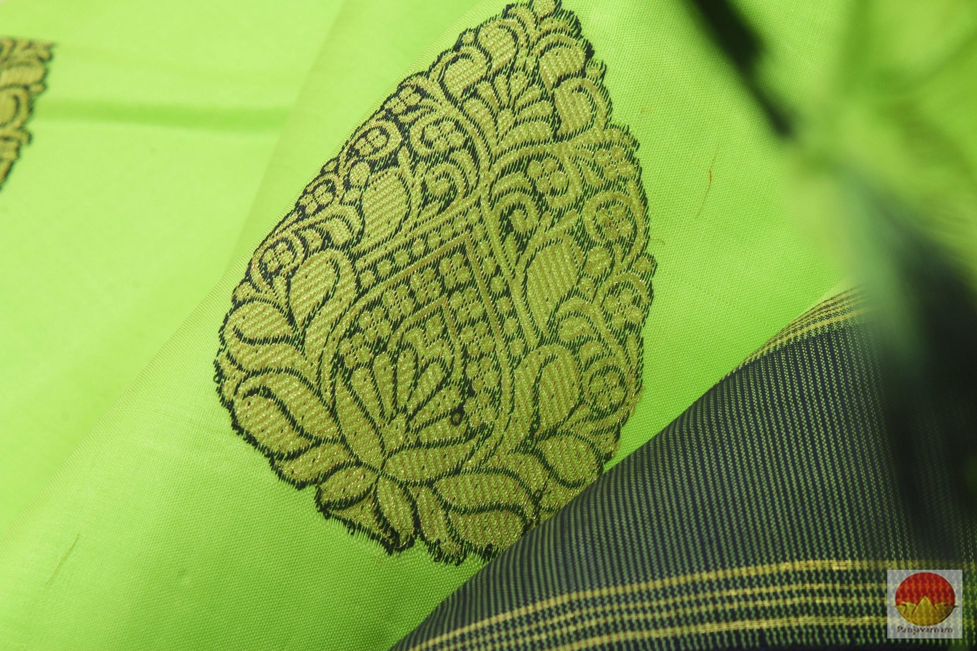 Kanchipuram Silk Saree - Borderless Handwoven Pure Silk - Meenakari - Pure Zari - PV RA 7 - Archives - Silk Sari - Panjavarnam