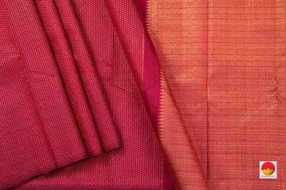 Kanchipuram Silk Saree - Borderless - Handwoven Pure Silk - Pure Zari - PV NYC 450 - Silk Sari - Panjavarnam