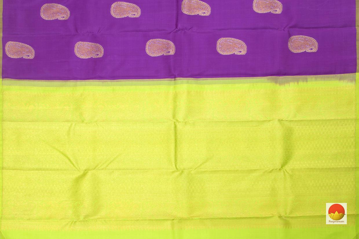 Kanchipuram Silk Saree - Borderless - Handwoven Pure Silk - Pure Zari - PV SRI 5023 - Silk Sari - Panjavarnam