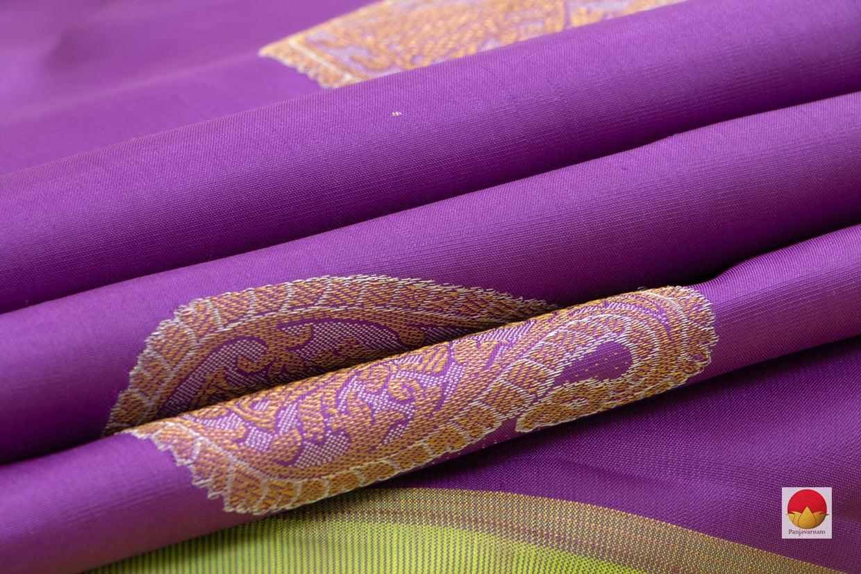 Kanchipuram Silk Saree - Borderless - Handwoven Pure Silk - Pure Zari - PV SRI 5023 - Silk Sari - Panjavarnam