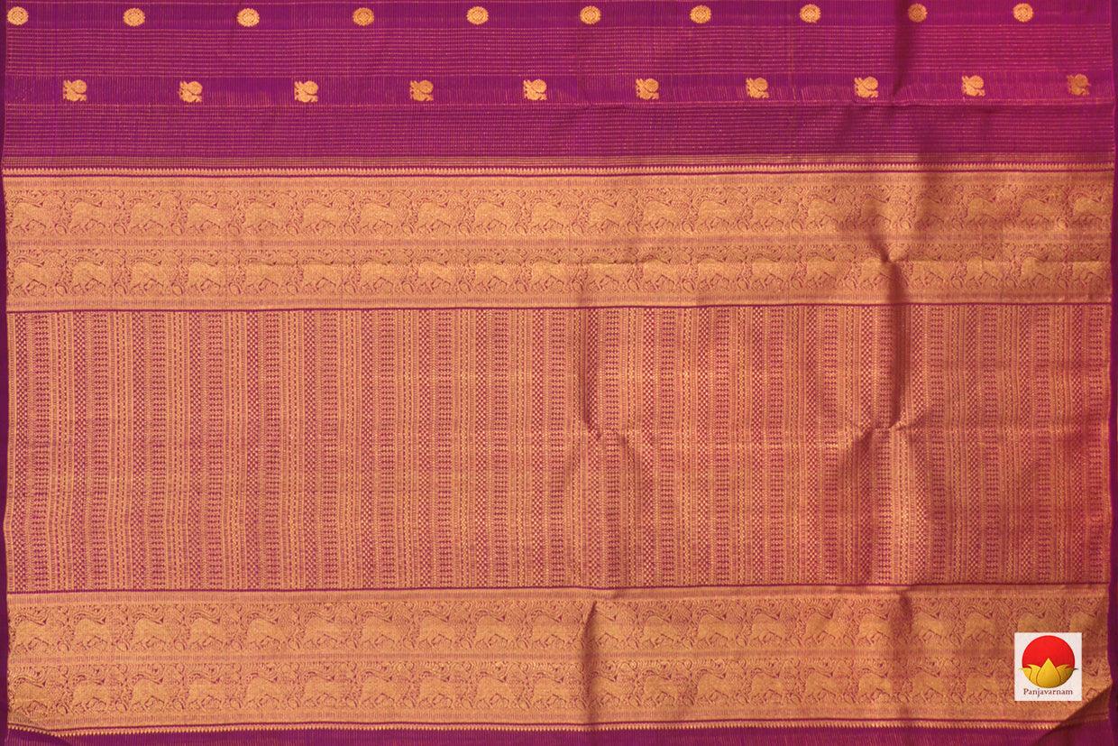 Kanchipuram Silk Saree - Handwoven Pure Silk - Borderless - Pure Zari - PV SAR 50 - Silk Sari - Panjavarnam