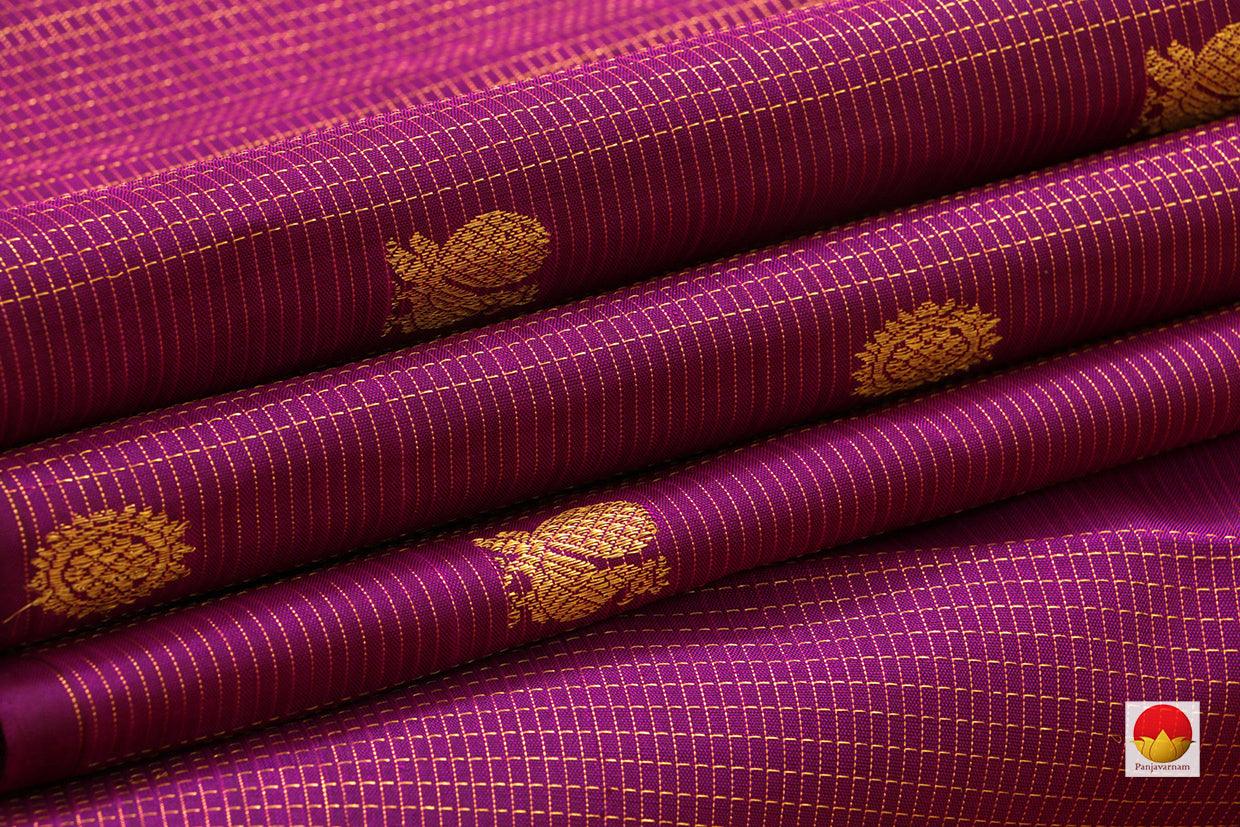 Kanchipuram Silk Saree - Handwoven Pure Silk - Borderless - Pure Zari - PV SAR 50 - Silk Sari - Panjavarnam