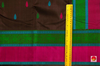 Kanchipuram Silk Saree - Handwoven Pure Silk - No Zari - PV RM NZ 357 - Silk Sari - Panjavarnam