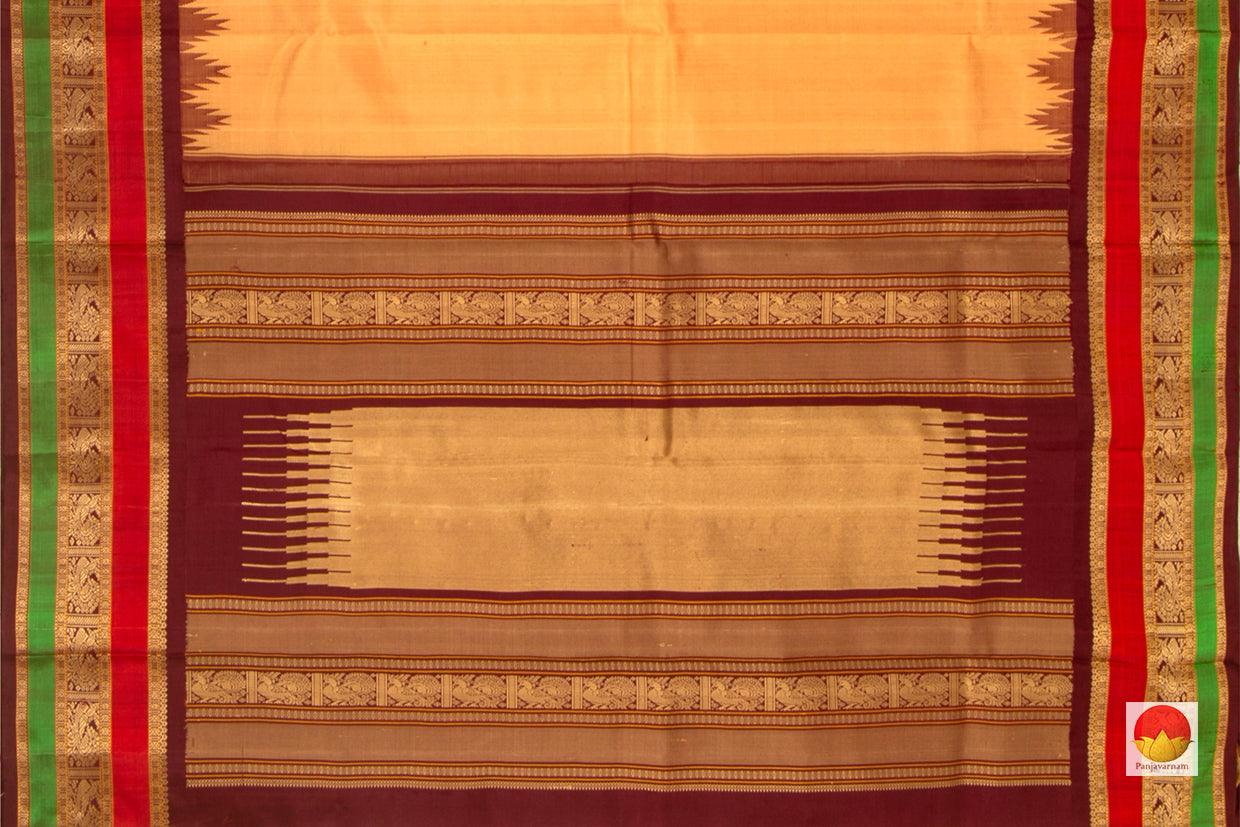 Kanchipuram Silk Saree - Handwoven Pure Silk - No Zari - PV RM NZ 379 - Saris & Lehengas - Panjavarnam