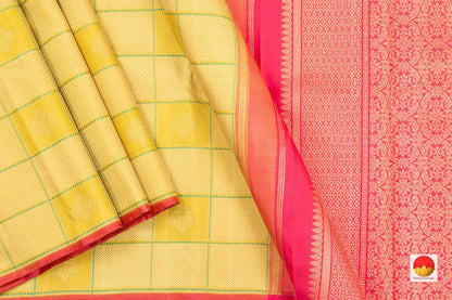 Kanchipuram Silk Saree - Handwoven Pure Silk - Pure Zari - Borderless - PV 2009 - Silk Sari - Panjavarnam