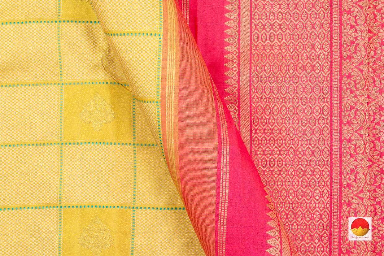 Kanchipuram Silk Saree - Handwoven Pure Silk - Pure Zari - Borderless - PV 2009 - Silk Sari - Panjavarnam