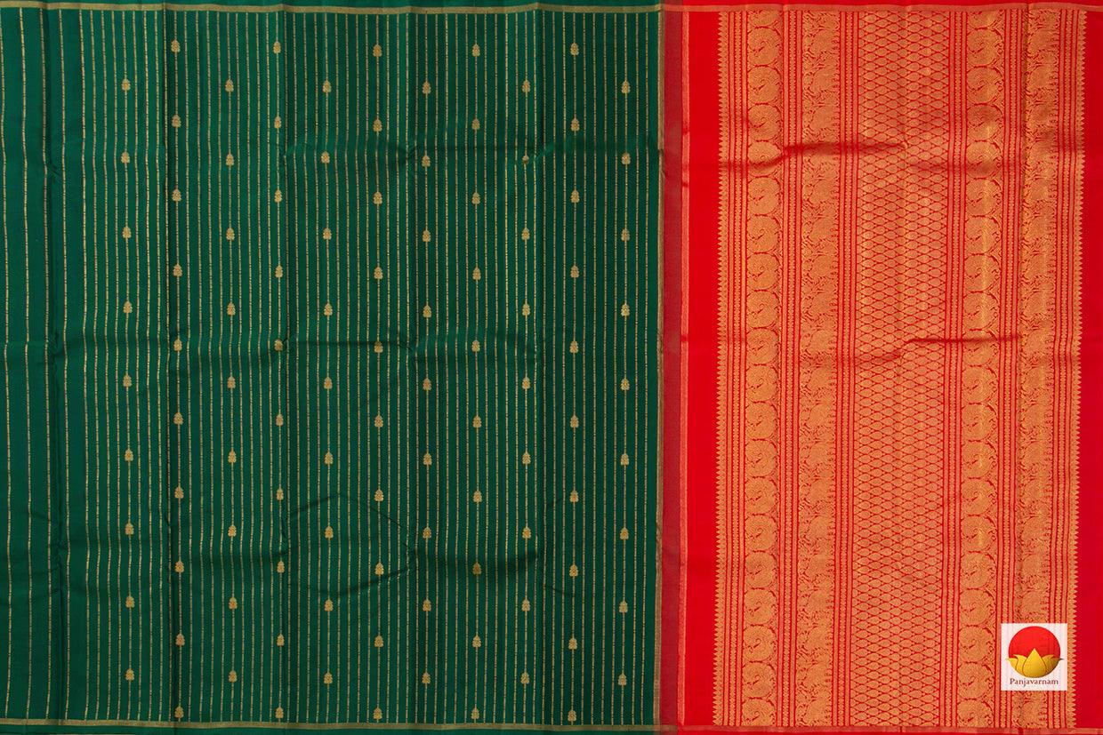 Kanchipuram Silk Saree - Handwoven Pure Silk - Pure Zari - Borderless - PV GTA 24 - Silk Sari - Panjavarnam