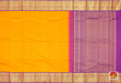 Kanchipuram Silk Saree - Handwoven Pure Silk - Pure Zari - PV G 4096 - Archives - Silk Sari - Panjavarnam