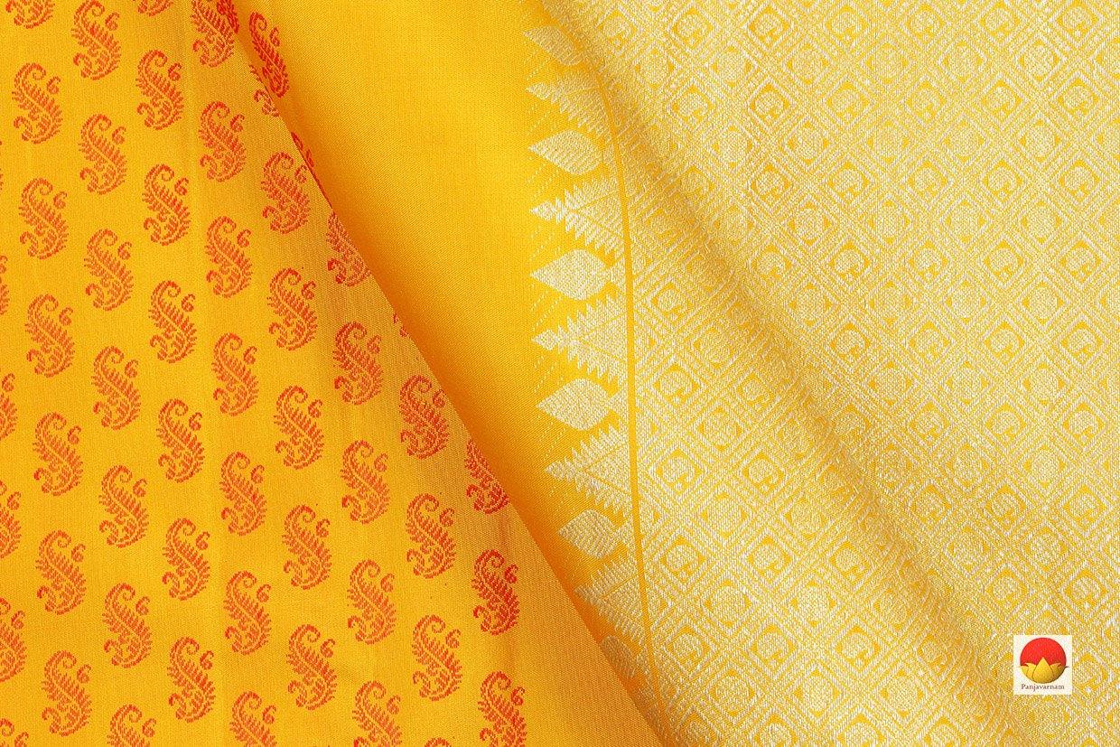 Kanchipuram Silk Saree - Handwoven Pure Silk - Rising Border - Pure Zari - PV SRI 2278 - Archives - Silk Sari - Panjavarnam