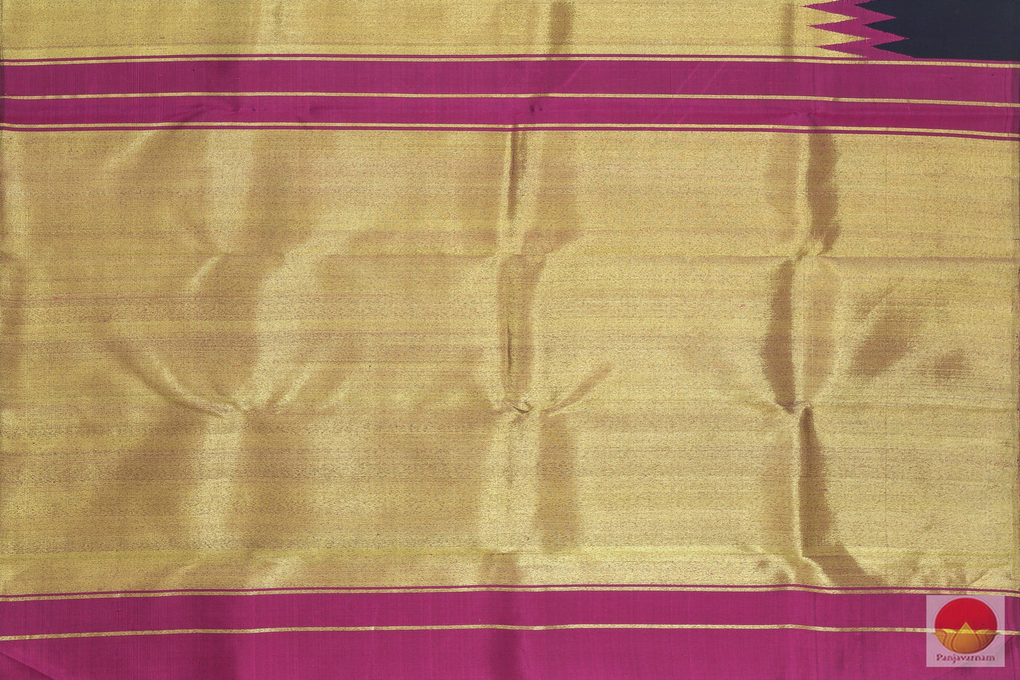 Kanchipuram Silk Saree - Handwoven Pure Silk - Rising Border - Pure Zari - PV SVS 2035 Archives - Silk Sari - Panjavarnam