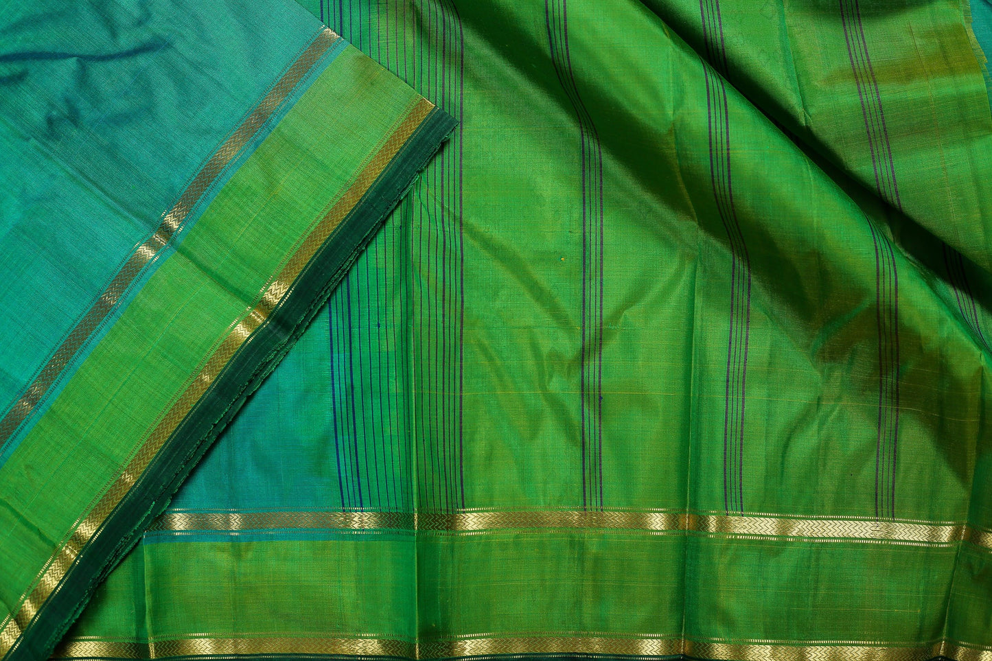 Panjavarnam Kanjivaram Silk Saree PVF 0218 1193 - Silk Sari - Panjavarnam