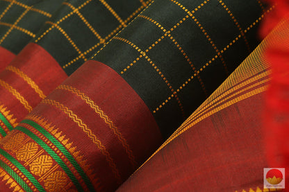 Silk Thread Border - Kanchipuram Handwoven Pure Silk Saree - No Zari - PV 507 Archives - Silk Sari - Panjavarnam