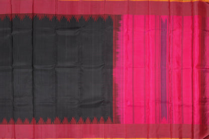Temple Border Handwoven Pure Silk Kanjivaram Saree - PVJU 0618 1461 - Silk Sari - Panjavarnam