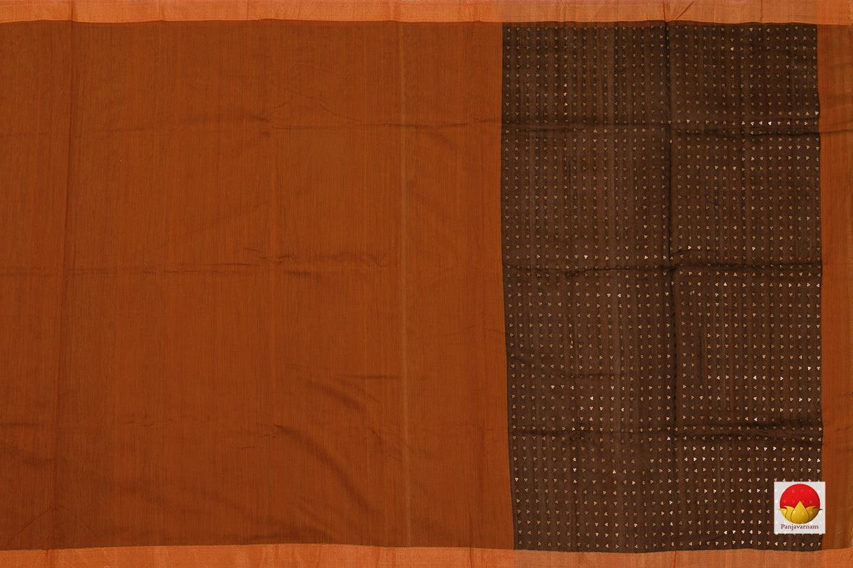 Tussar Silk Saree - Handwoven Pure Silk - PV 05 - Tussar Silk - Panjavarnam